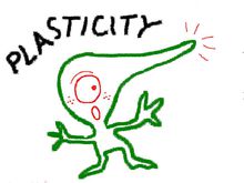 a50f4bfbfbedab6435dfc697f736afc379311e33.jpg